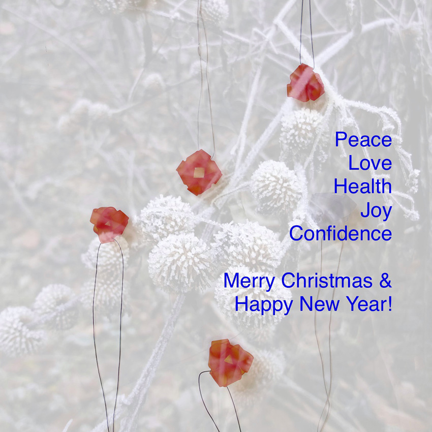 Frohe Weihnachten & ein glückliches neues Jahr! Merry Christmas & Happy 2023